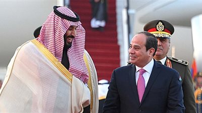 صبري عبادة: تطوير «الأزهر» منحة من الملك عبد الله في عام 2014