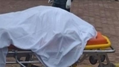 التحفظ على سيارة نقل وسائقها بعد دهس موظف بالجيزة