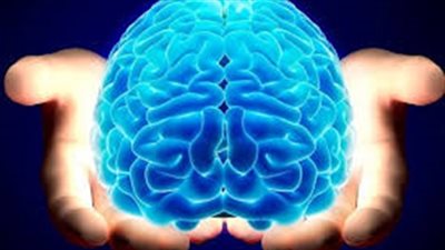 أبحاث: ارتفاع الكوليسترول مرتبط بتحسين صحة خلايا المخ