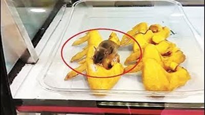 فأر يلتهم أجنحة الدجاج داخل مطعم يثير ذعر الزبائن (فيديو)