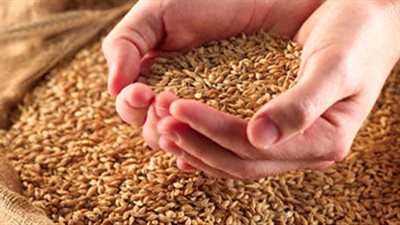 غرفة صناعة الحبوب: إلغاء مناقصة المكرونة يعود إلى ارتفاع أسعارها