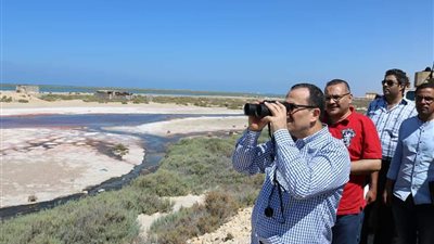 ١٠ معلومات عن محمية الزرانيق بالعريش.. تعرف عليها