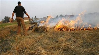 التنمية المحلية والبيئة يناقشان مشكلة السحابة السوداء وحرق قش الأرز