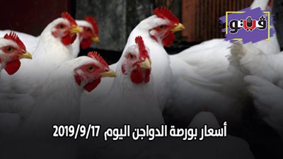 أسعار بورصة الدواجن اليوم.. أسعار الدواجن اليوم 2019/9/17