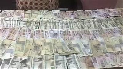 أمن المنيا يفك لغز سرقة 165 ألف جنيه من داخل منزل (فيديو)