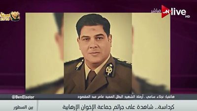 أرملة الشهيد عامر عبد المقصود: «أعد أبنى ليحمل راية الشهادة »