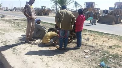 قوى الإسكندرية تحصر العمالة غير المنتظمة في أماكن التجمع (صور)