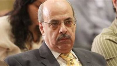 أبو شادي: الأعمال التاريخية مهمة لكنها مكلفة