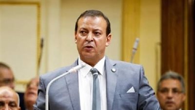 برلماني يطالب بمواجهة الحسابات الوهمية لجماعة الإخوان الإرهابية
