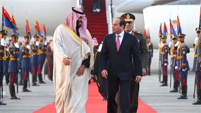 ولي عهد السعودية لـ«السيسي»: رغبتنا مشتركة في تعزيز أمن المنطقة