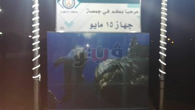 انتشار لوحات 3D بشوارع جمصة تشجيعا للسياحة الداخلية (صور)