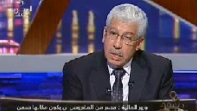 بالفيديو.. وزير المالية: 22% من الموازنة العامة للاستثمار