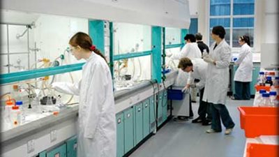 علماء أمريكيون يطورون معمليًا غددًا دمعية