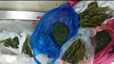 ضبط مخدرات بحوزة راكب قادم من اليمن بمطار القاهرة