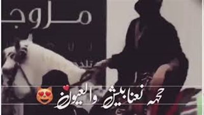 خليجية تتجول بحصان أمام أحد المراكز التجارية (فيديو)