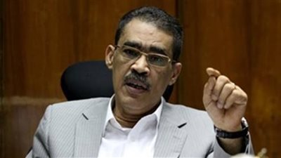 ضياء رشوان: لولا القوات المسلحة لتفككت الدولة لجمهوريات