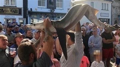 اصطياد وطهي قرش أزرق نادر مهدد بالانقراض (صور)