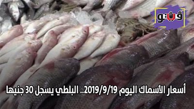 أسعار الأسماك اليوم 2019/9/19.. البلطي يسجل 30 جنيها
