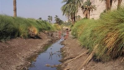 نقص المياه.. كارثة تهدد ببوار الأراضي الزراعية بـ4 قرى في سوهاج (صور)