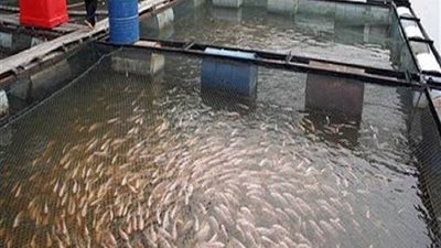 مواطن يستغيث من سحب الثروة السمكية لأرضه بالمخالفة للقانون