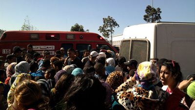 شاب يحاول الانتحار من فوق نخلة بسبب فشله في الزواج