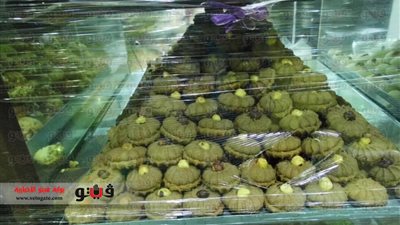 بالصور.. ننشر أسعار الكعك بالمخابز الشعبية