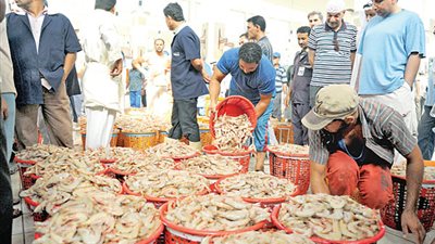 تدشين بورصة للحاصلات الزراعية بكفرالشيخ