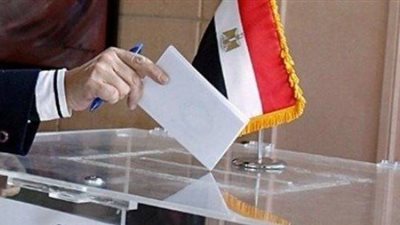 «تيسير»: «إرادة جيل» تستعد للحشد بجميع المحافظات للمشاركة في الانتخابات