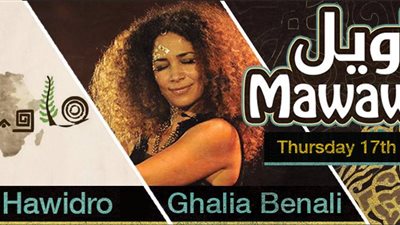 معارض وغناء وأفلام قصيرة وتحطيب بـ 