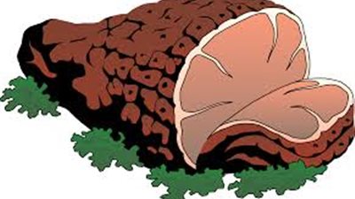 دراسة تقدم لكِ سر الحفاظ على رشاقتك في رمضان