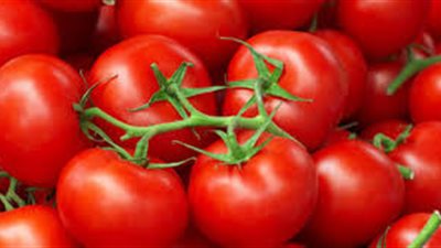 أسعار الخضراوات والفاكهة بسوق الجملة.. اليوم