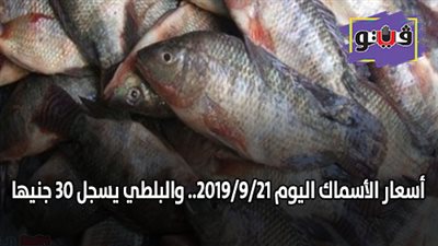 اسعار الأسماك اليوم 2019/9/21.. والبلطي يسجل 30 جنيها