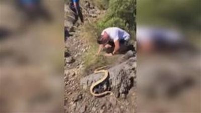 نهاية مروعة لرجل مزح صديقه معه بأفعى (فيديو)