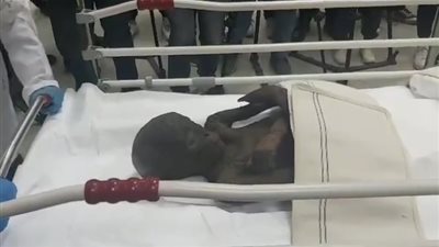 لحظة نقل مومياء رئيس العمال في عصر الملك سيتي الأول لغرفة التعقيم (فيديو)