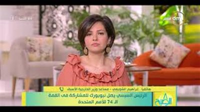 دبلوماسي سابق: الجمعية العامة للأمم المتحدة مسرح لمناقشة قضايا متعددة (فيديو)