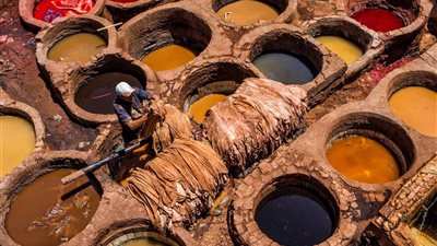 التنمية الصناعية: معرض الجلود فرصة لعقد شراكات بين الأجانب