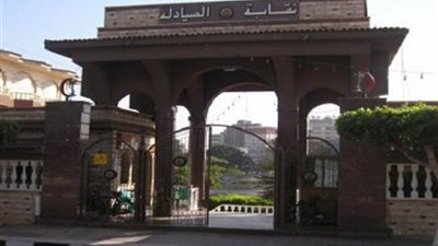 «الصيادلة» تدرج كتابة الدواء بالاسم العلمي في الجمعية العمومية المقبلة