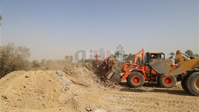 البدء في مشروع استصلاح أراضي الغابة الحجرية بقنا (صور)