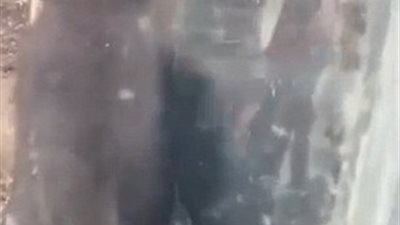 رجل يحرق قردا بعد منحه السجائر بحديقة حيوان صينية (فيديو وصور)