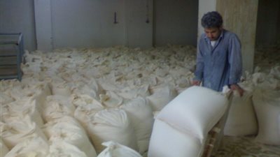 شعبة المخابز: دقيق مطاحن بنها يختلط بمخلفات القطط والكلاب