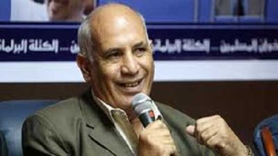 الأمين العام السابق لـ«الكرامة»: «ضرب عكاشة بالحذاء أقل واجب»