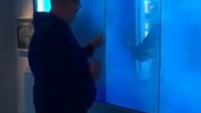 رد فعل صادم لرجل هاجمته سمكة قرش عملاقة (فيديو)