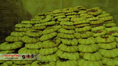 بالفيديو والصور.. 