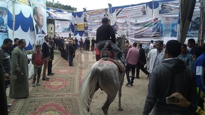 الرقص بالخيول على المزمار الصعيدي لدعم السيسي في الإسكندرية (صور)