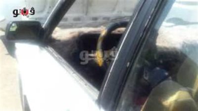 بالفيديو.. أسعار فيات 