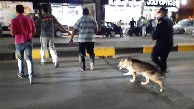 جسم غريب يثير الذعر بشارع مصدق.. والمفرقعات: «شنطة بداخلها بوكيه ورد»