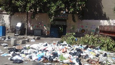 «البيئة» تخصص بريدا إلكترونيا لشكاوى القمامة والهواء الملوث