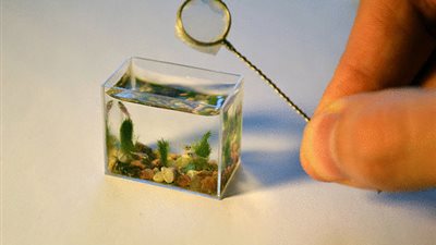 اللعب مع الأسماك: طريقة جديدة لعلاج مشاكل البشرة