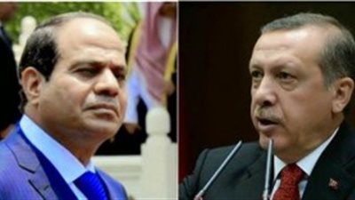 اختراق صفحة « الأناضول» ردا على تطاول أردوغان ضد السيسي