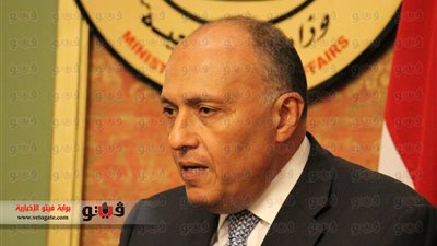 شكري: اتفقنا مع الجانب الفرنسي على تكثيف التعاون المشترك